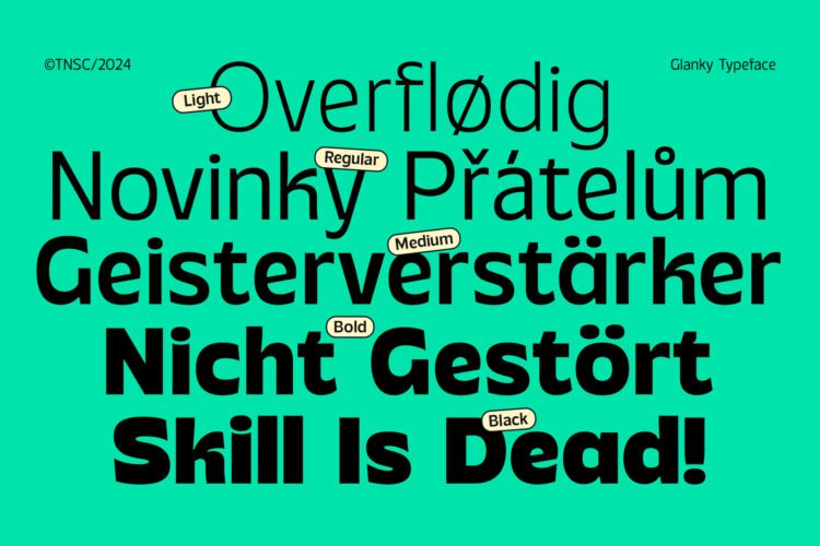 Glanky Variable Sans + Mascot - Image 6