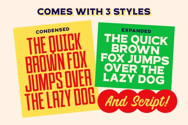 Special Season – Font Trio - Image 10