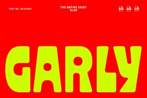 Garly - Bold Display Typeface