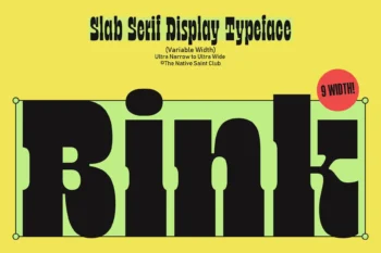 Bink - Variable Slab Serif