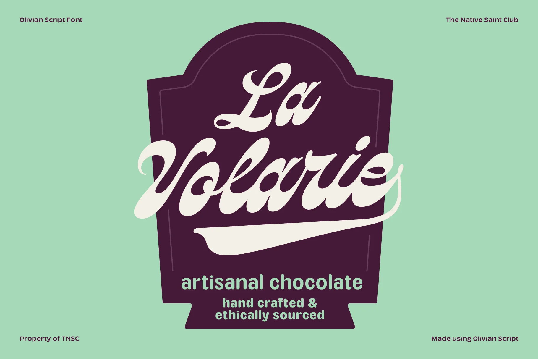 Olivian - Vintage Bold Script - Image 7