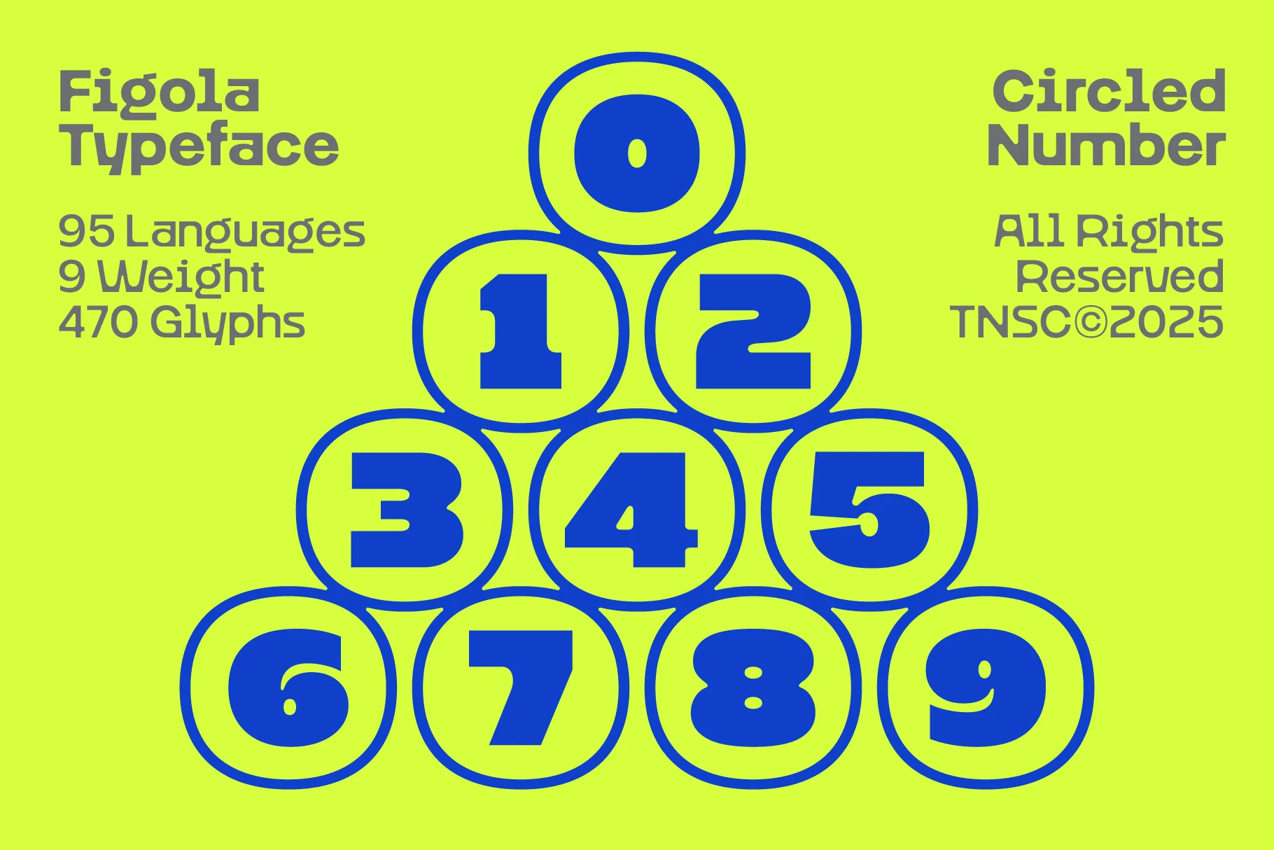Figola - Variable Geometric - Image 10