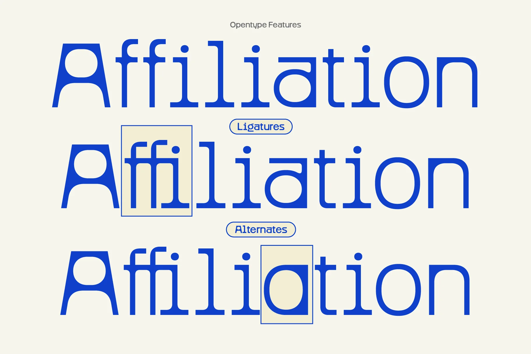 Figola - Variable Geometric - Image 6