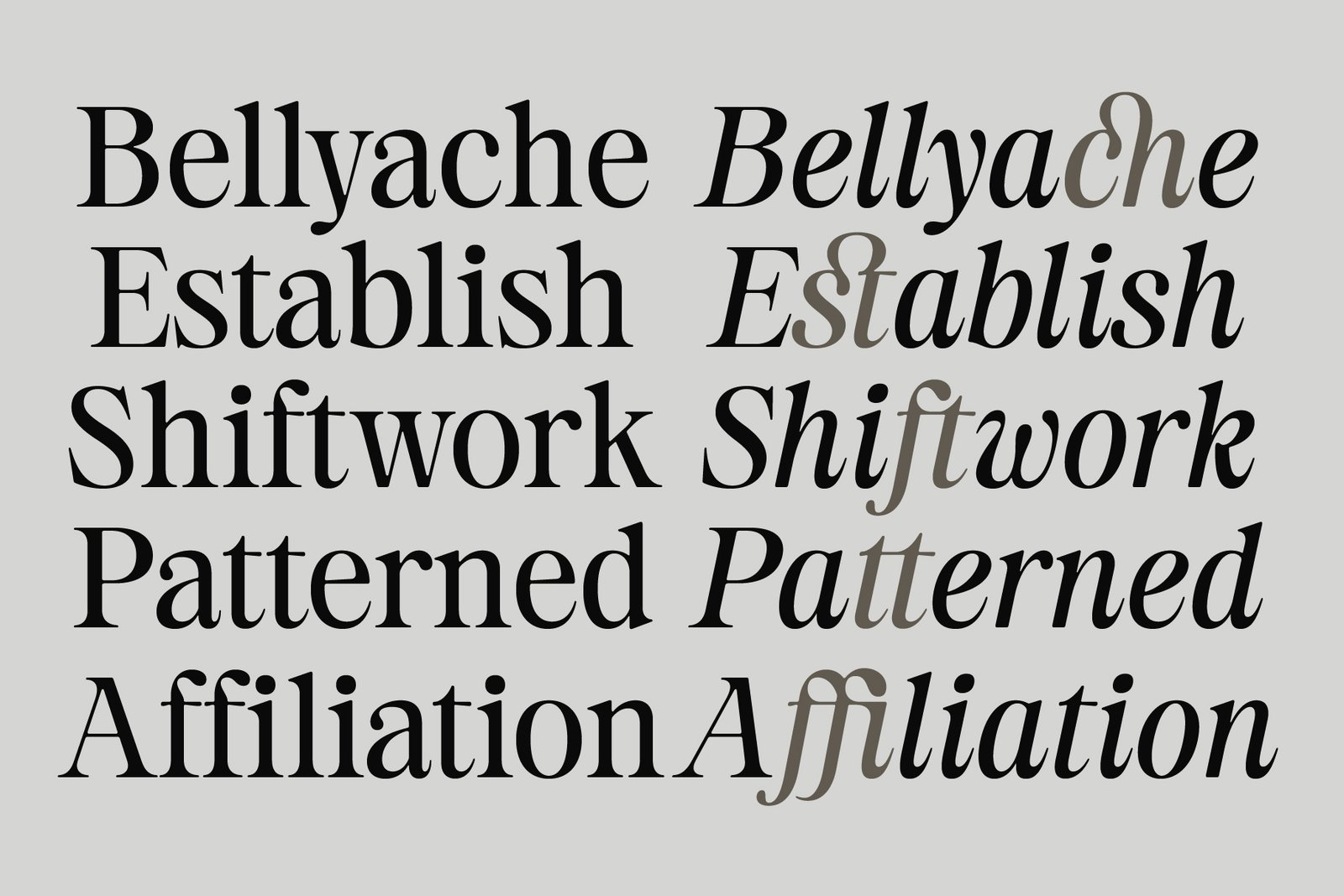 Estetika Maison - Editorial Serif - Image 6